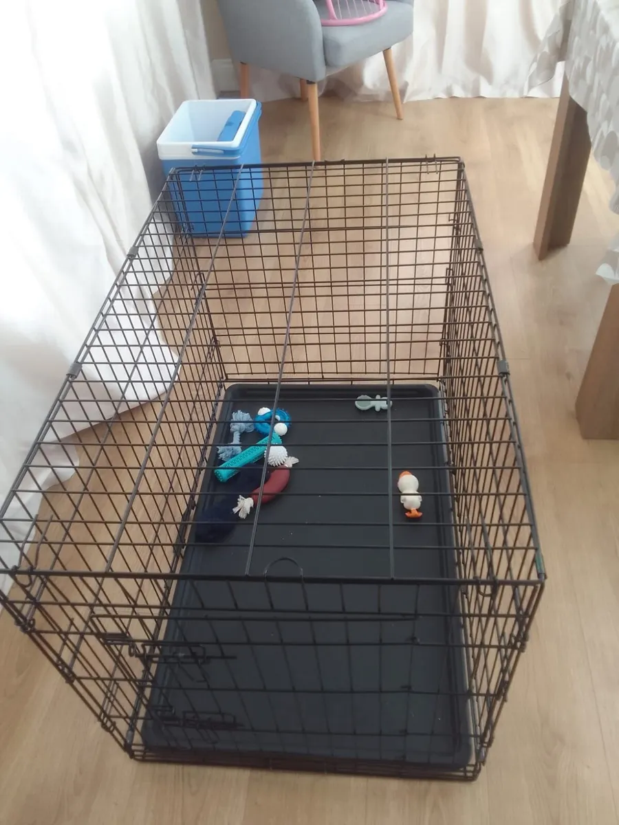 Dog Crate