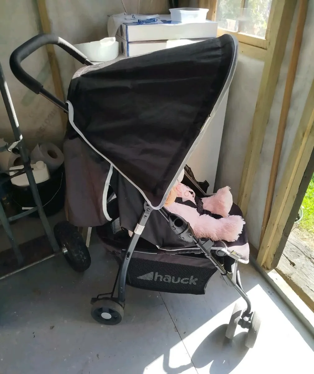 Buggy - Image 2