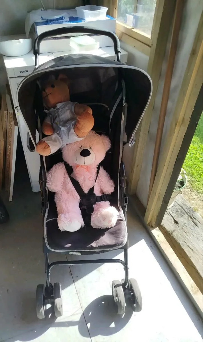 Buggy - Image 4