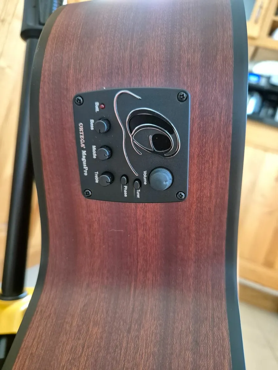 Acoustic electric bass guitar with case - Image 3