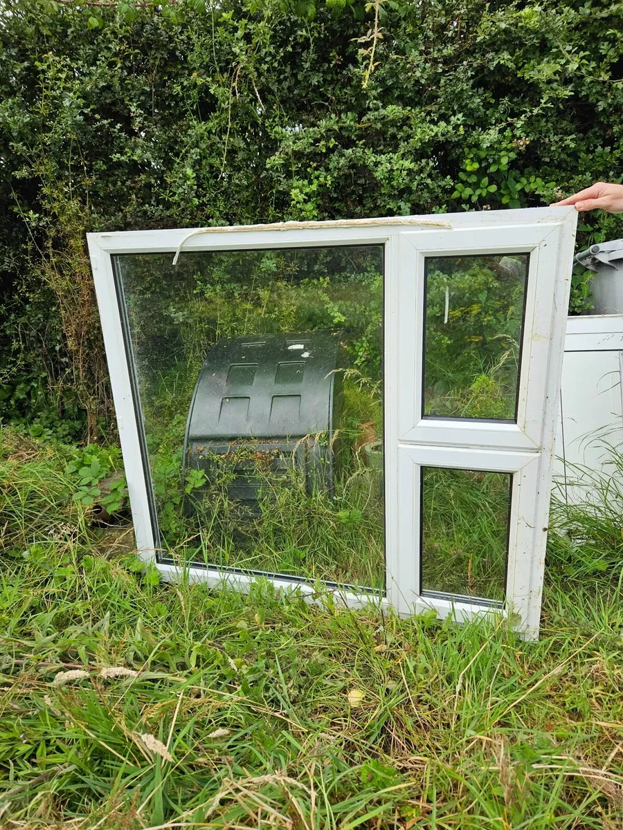 Window