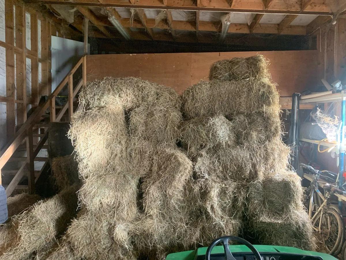 Small square bales of hay - Image 3