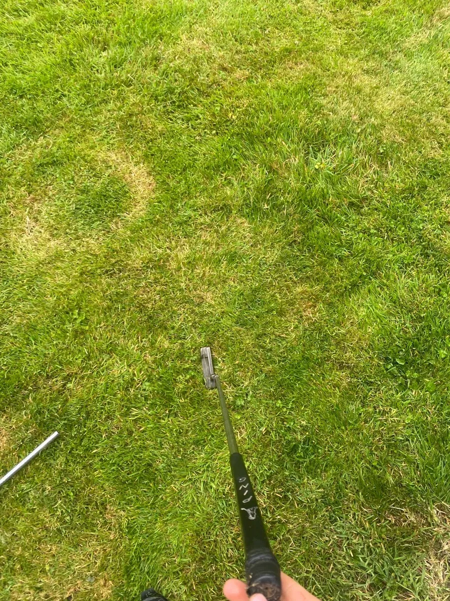 Putter - Image 3