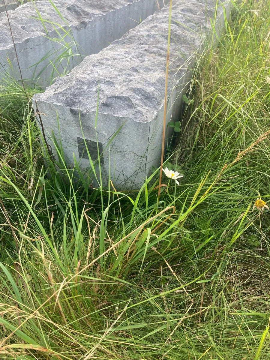 Stone - Image 2