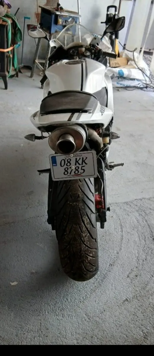 Honda CBR 600 - Image 2
