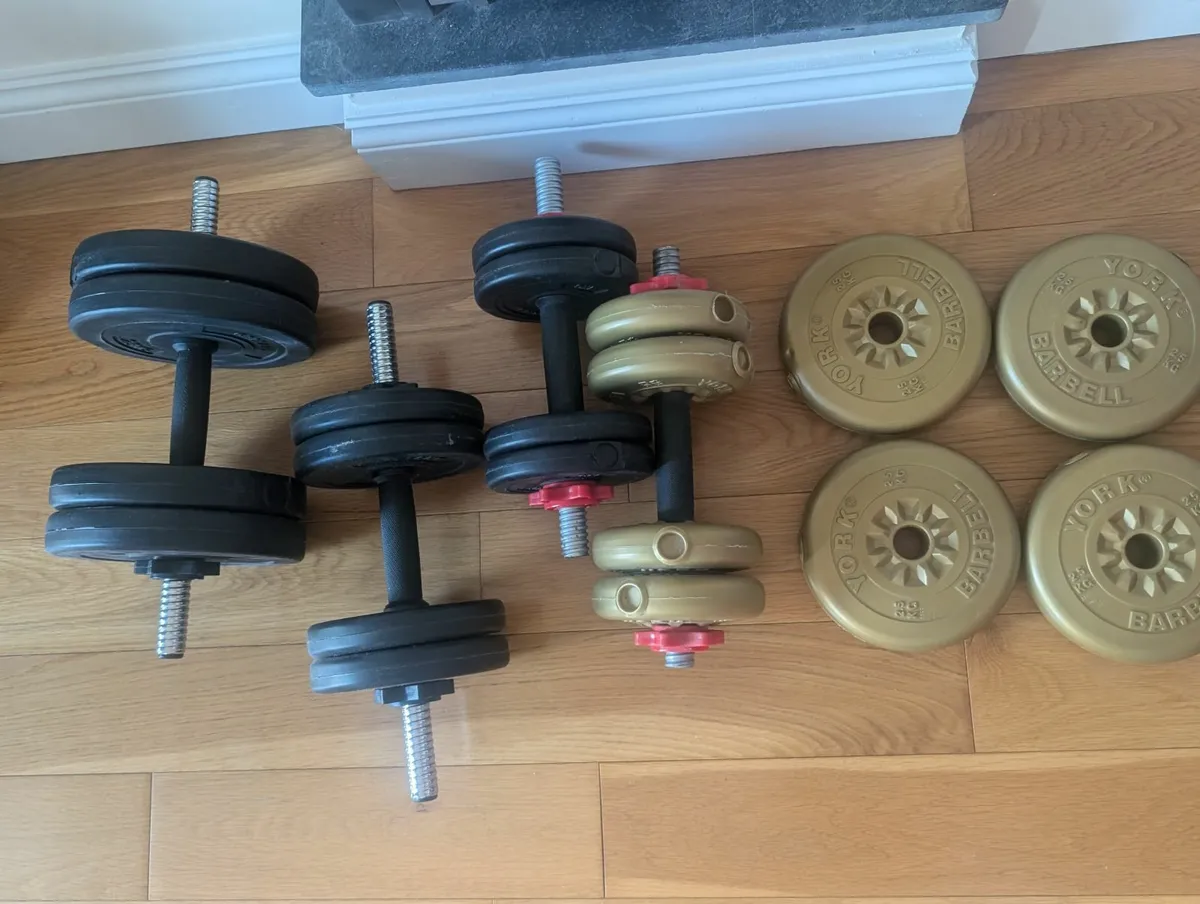 Gallant and York Dumbells/Barbells - Image 1
