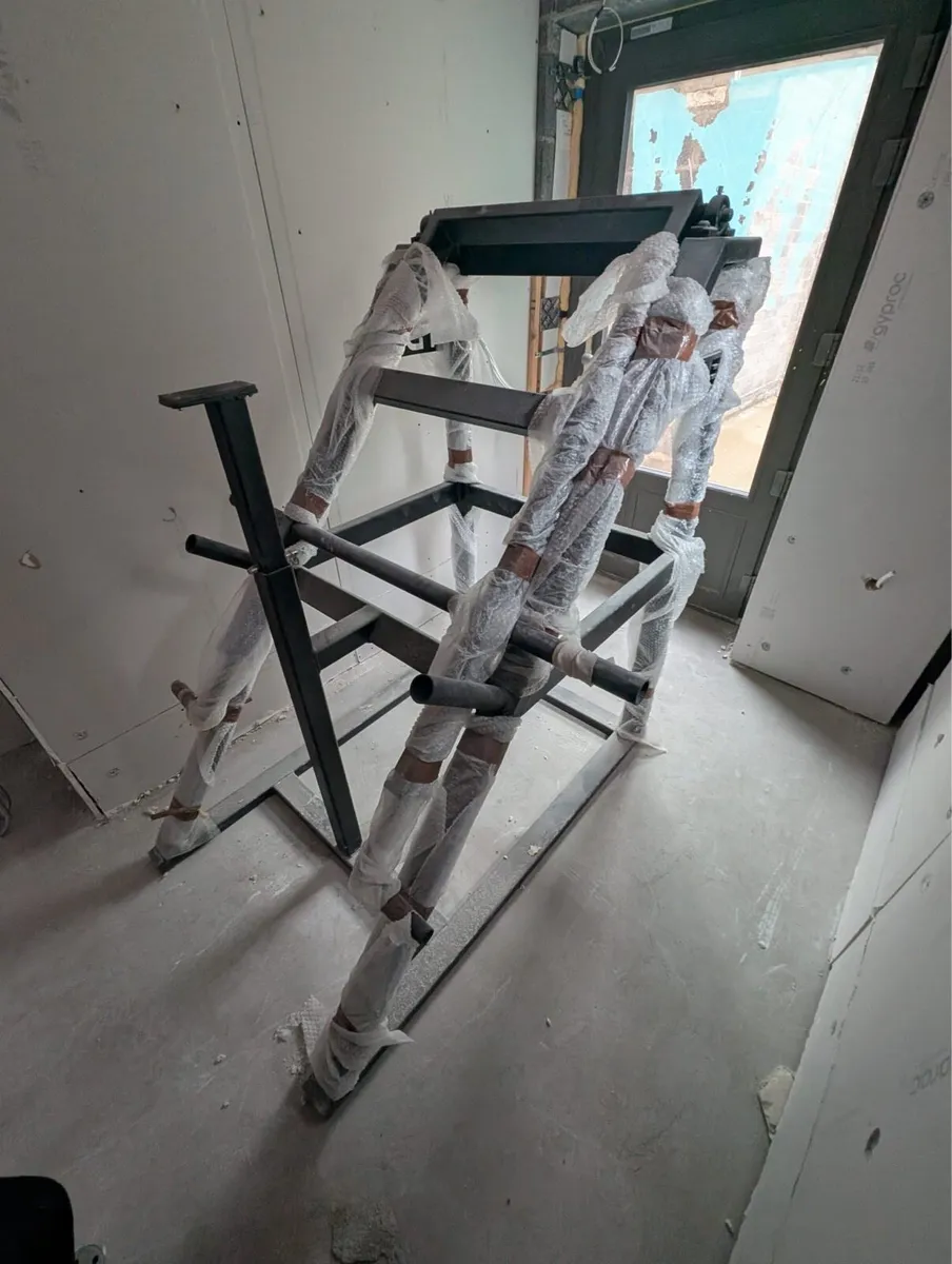 Viking shoulder press machine - Image 2