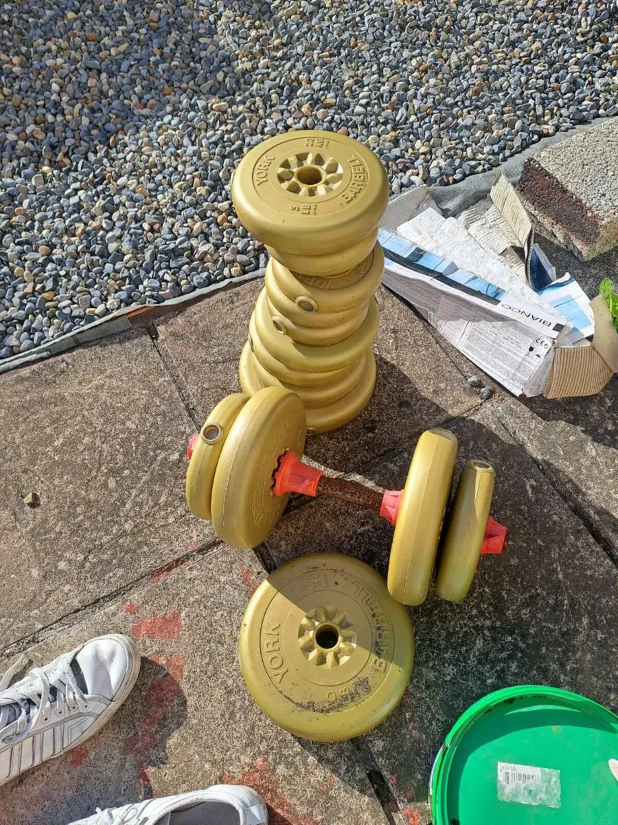 Weights - Image 2