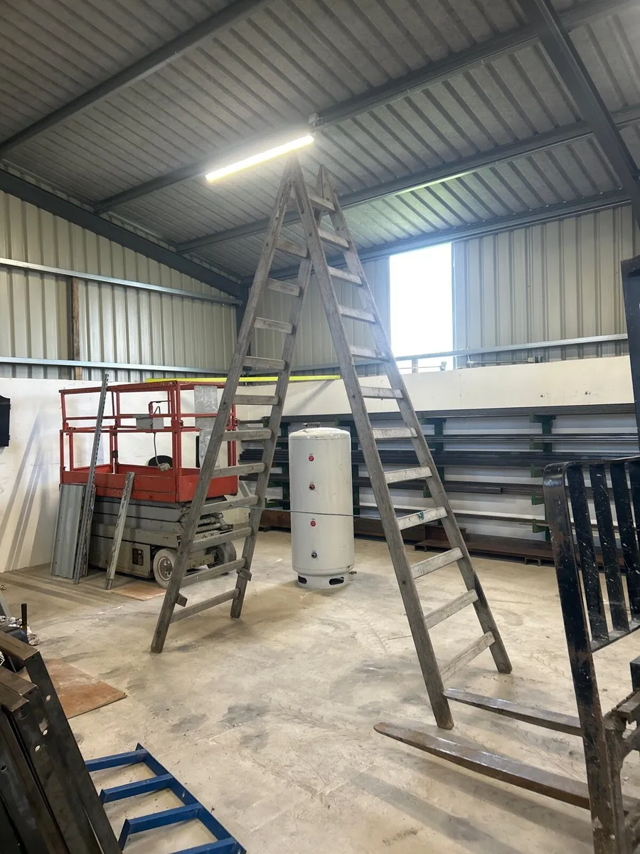12 foot A ladder - Image 1