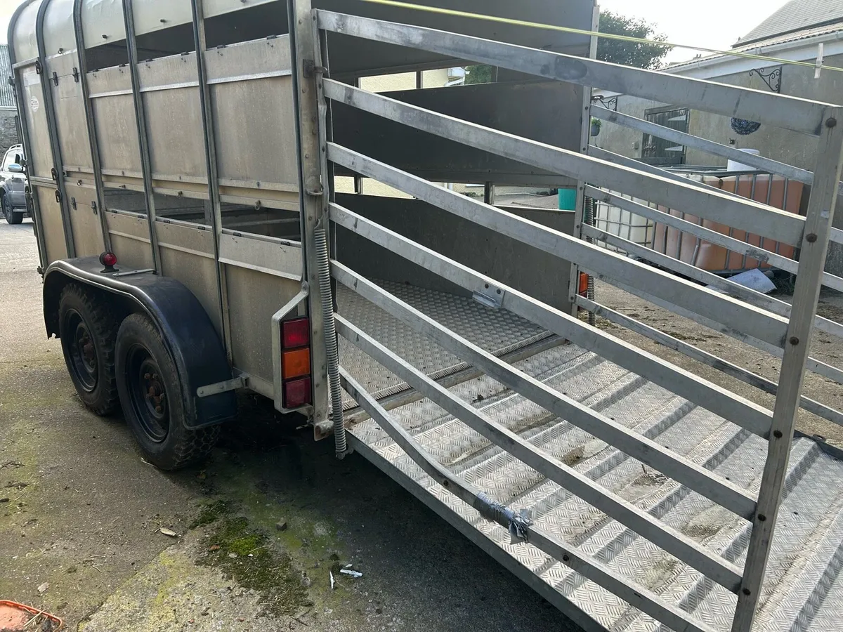 Sheep trailer 10x6 - Image 2