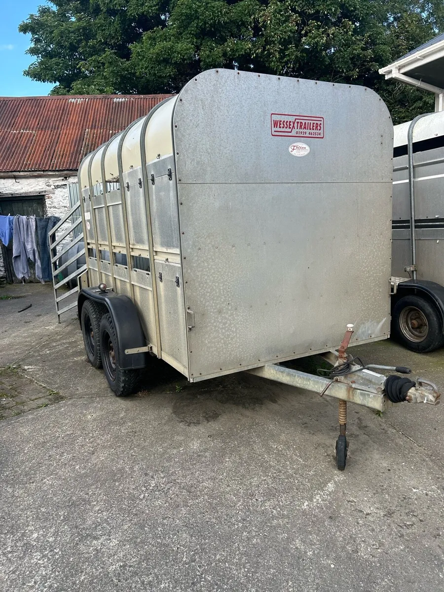 Sheep trailer 10x6 - Image 3