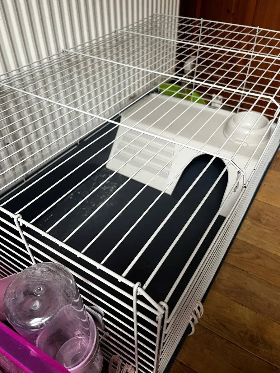 Rabbit cage with bedding & food - Image 2