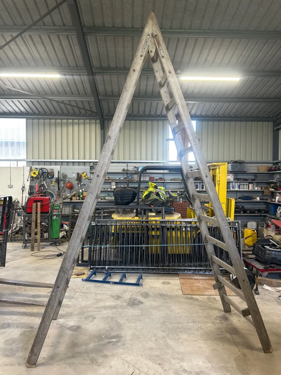 12 foot A ladder - Image 3