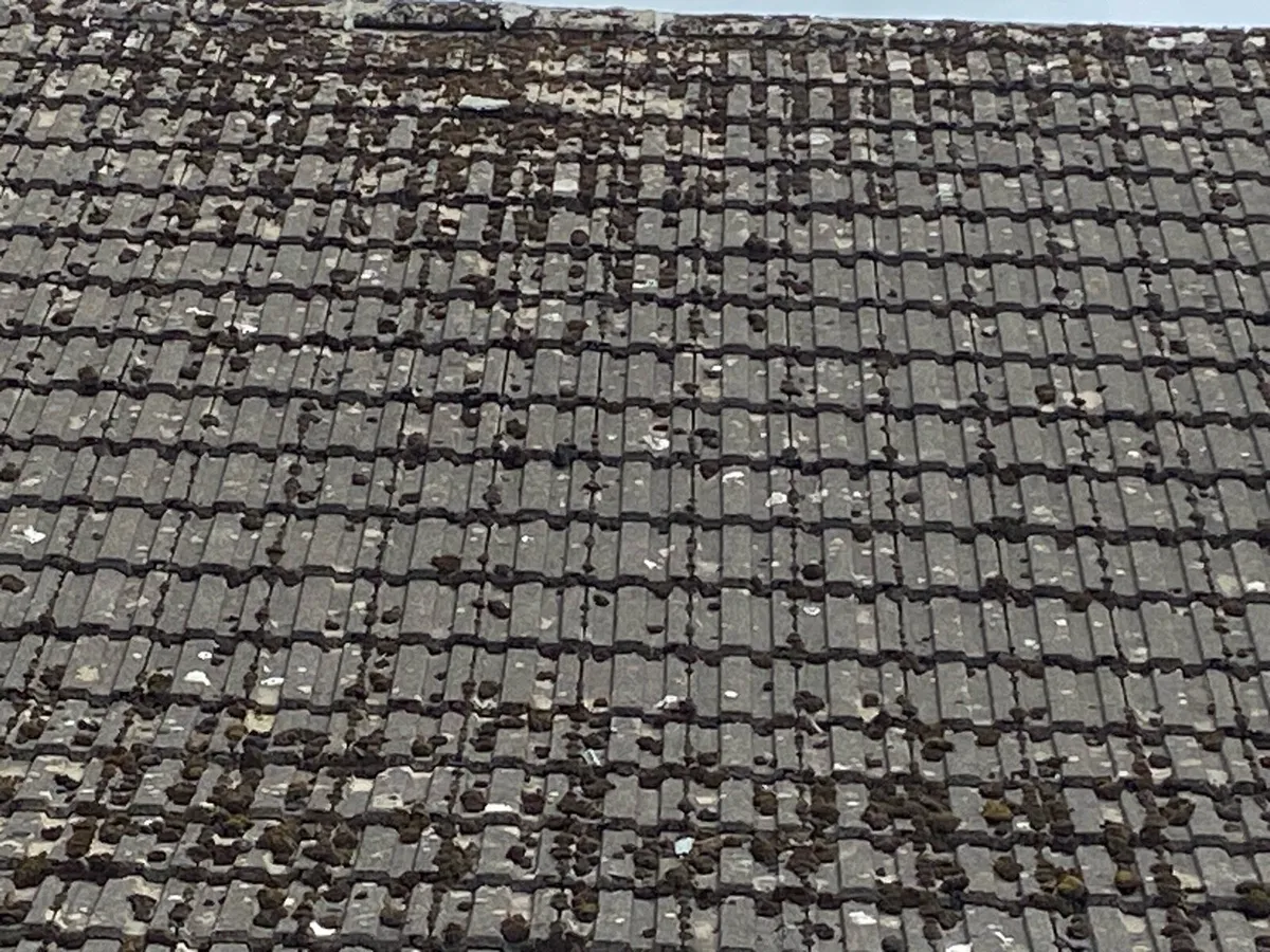 Roof tiles - Image 1