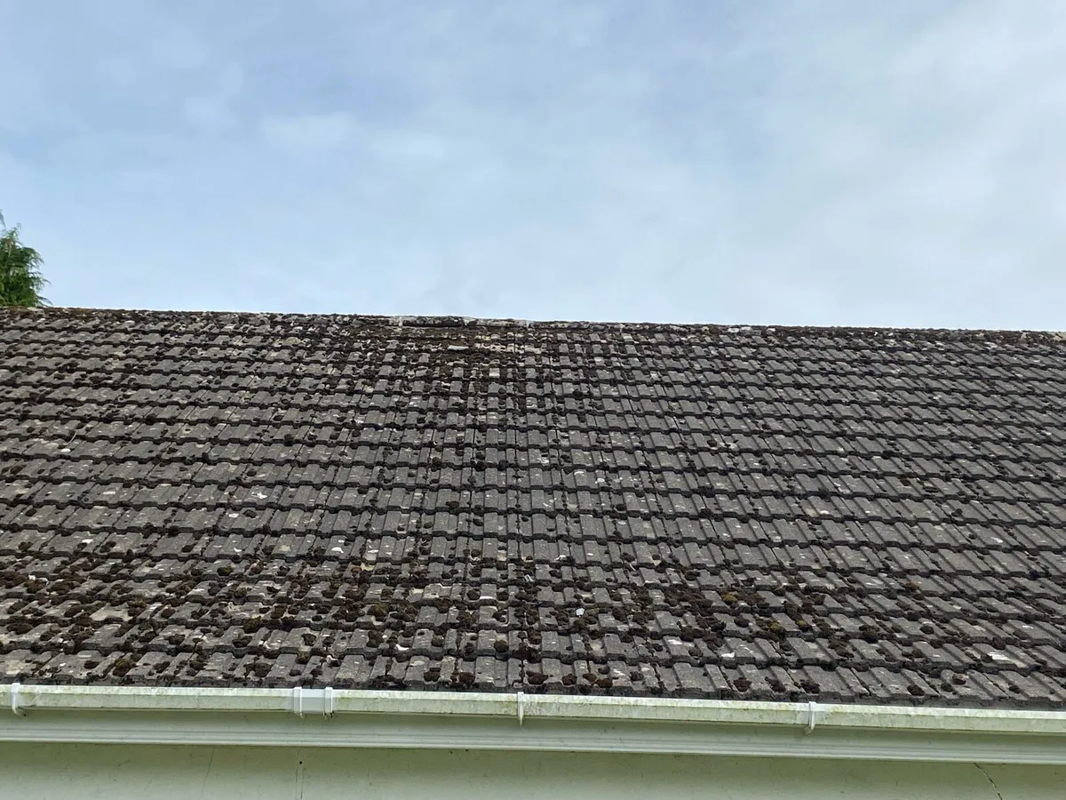 Roof tiles - Image 2