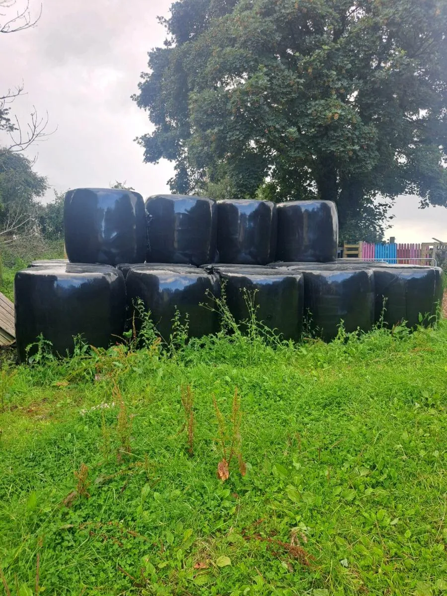 Haylage - Image 1