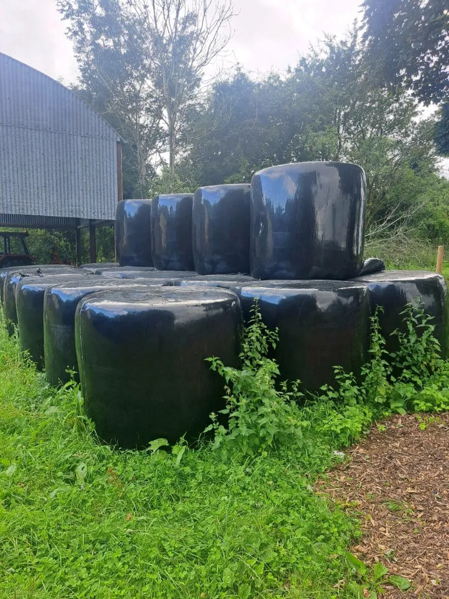 Haylage - Image 2