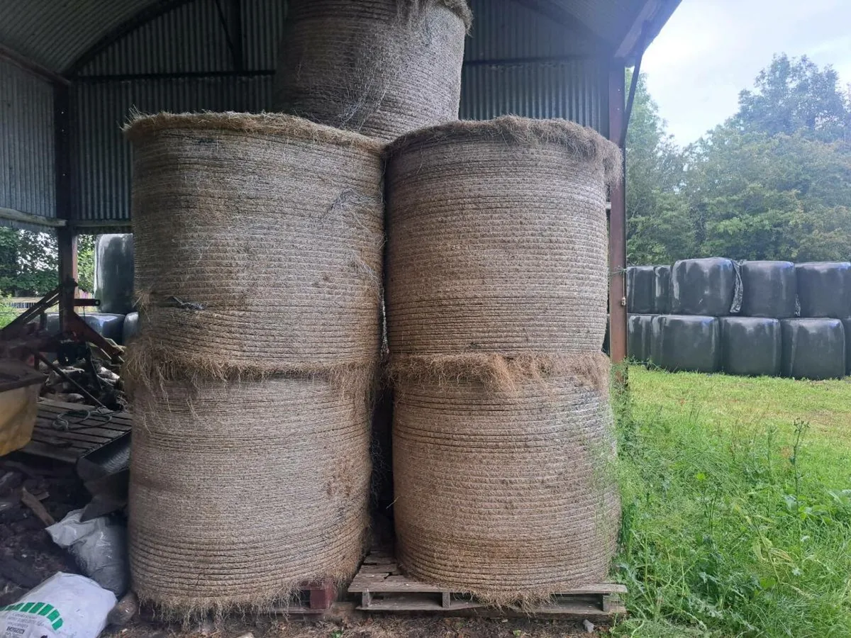Haylage - Image 3