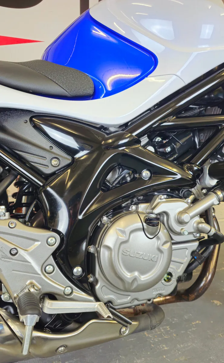2015 Suzuki SV650 Gladius - Image 3