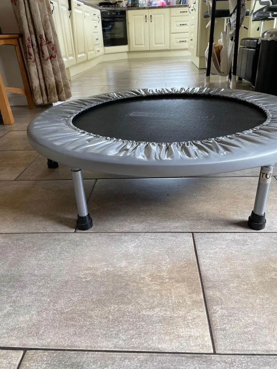 Mini trampoline - Image 1