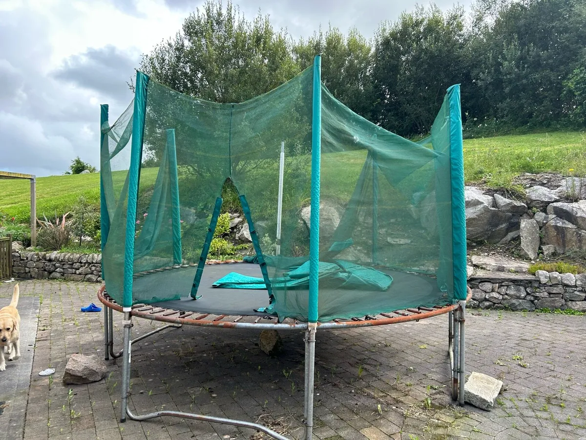 Trampoline - Image 1