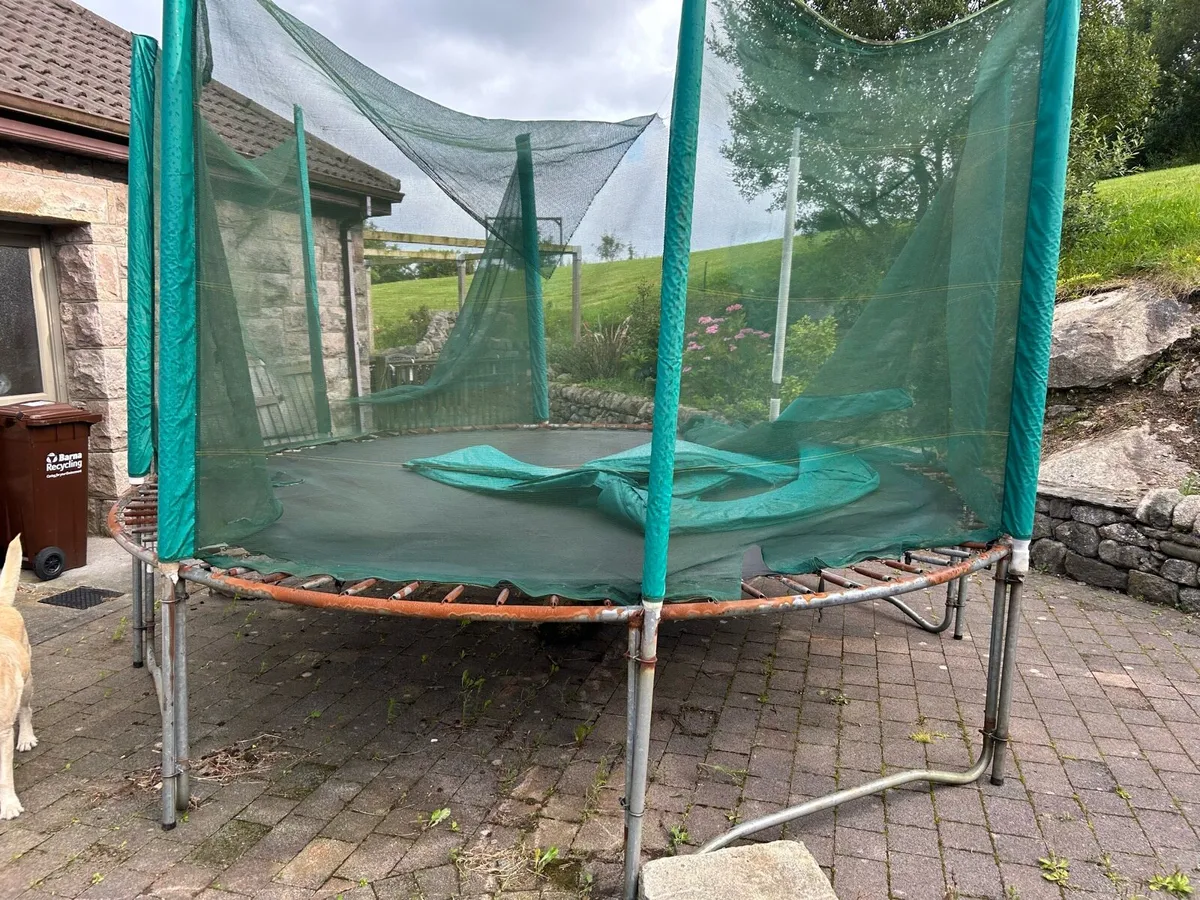 Trampoline - Image 2