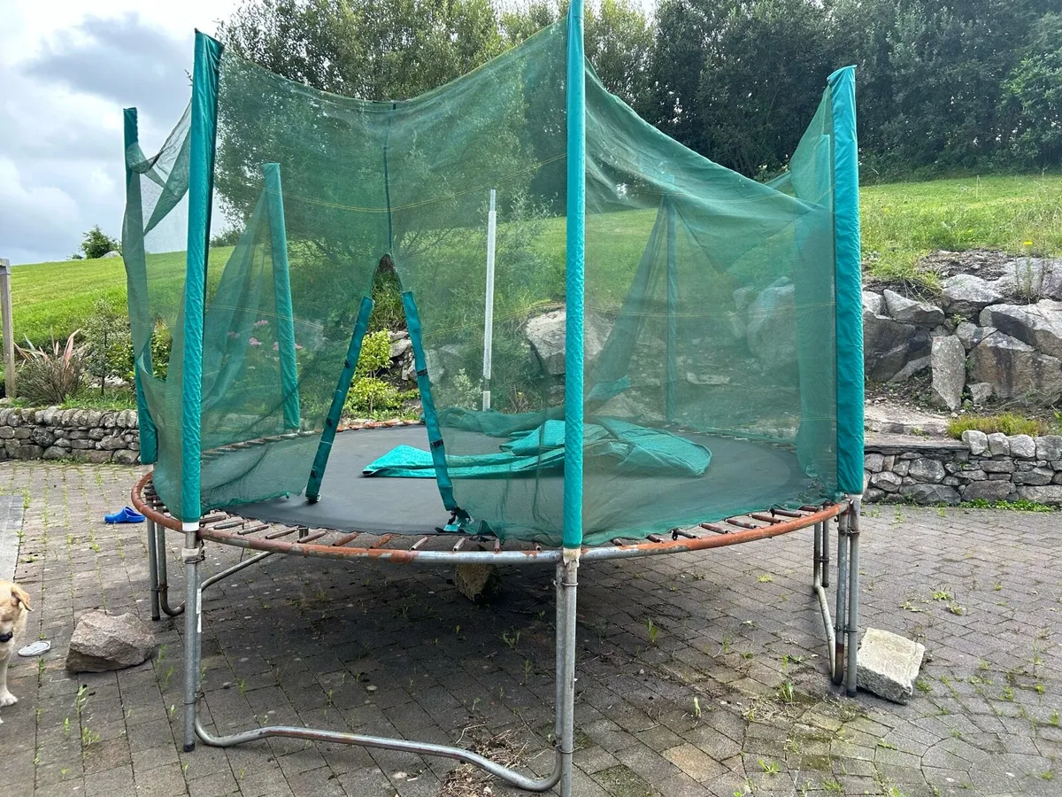 Trampoline - Image 3