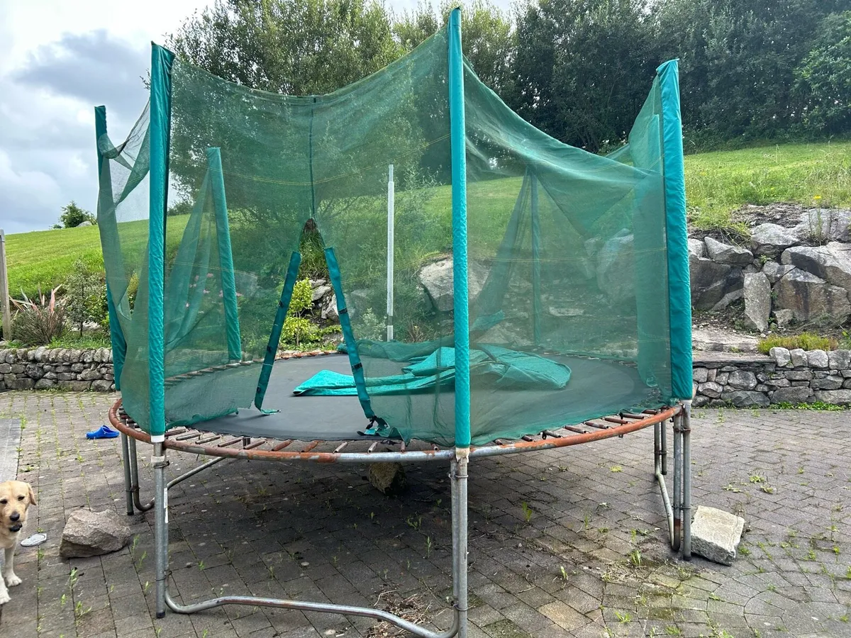 Trampoline - Image 4