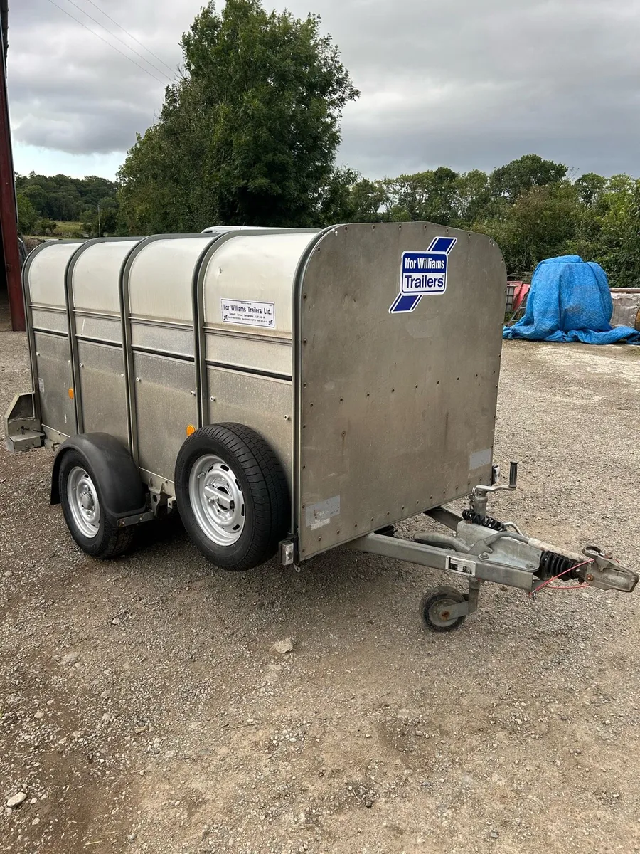 8x4 P8 Ifor Williams Calf and Sheep Trailer - Image 1