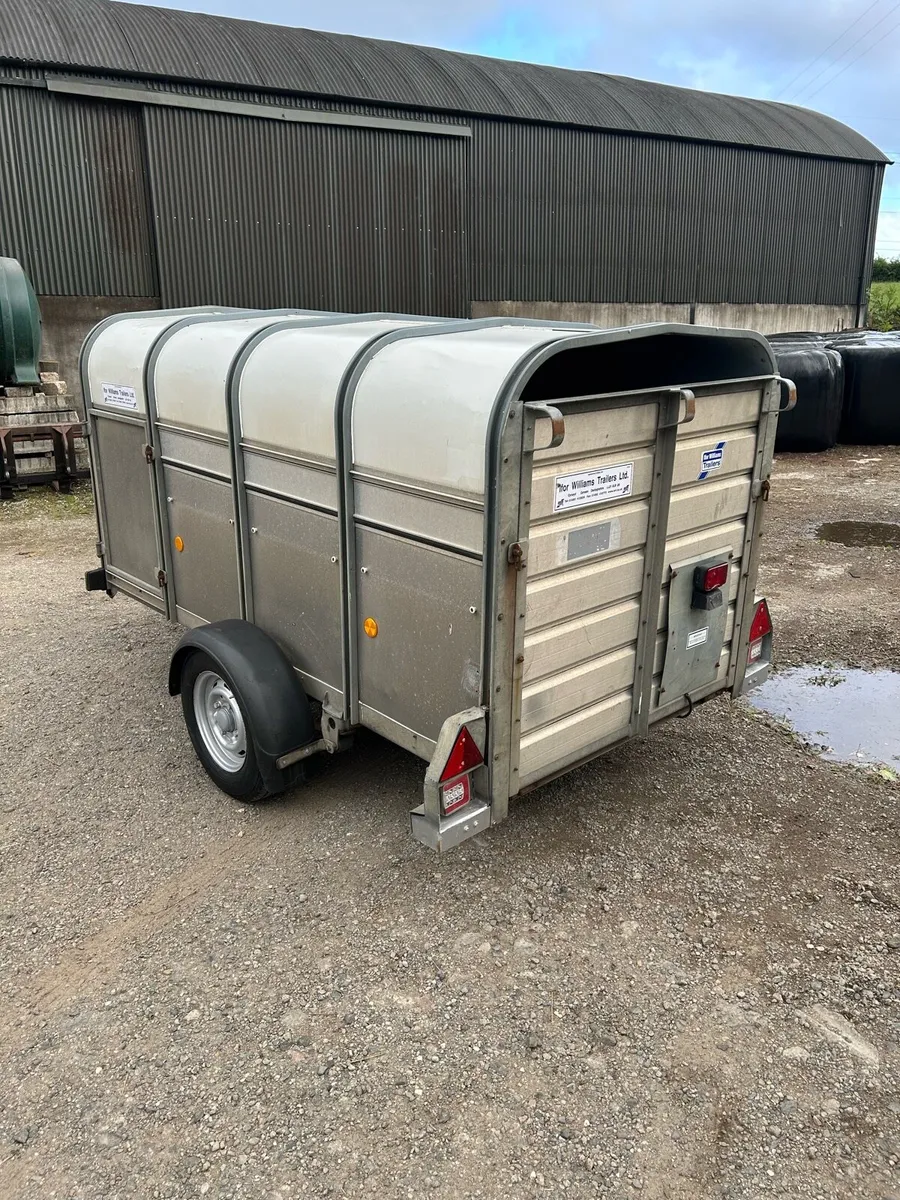 8x4 P8 Ifor Williams Calf and Sheep Trailer - Image 3