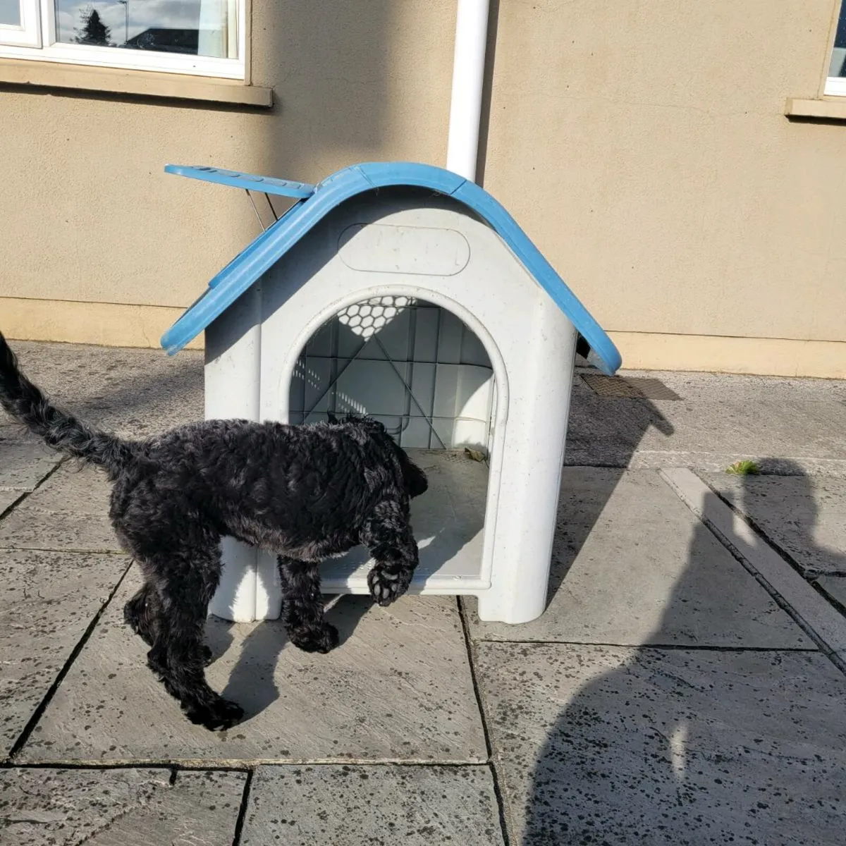 Dog Kennel - Image 2