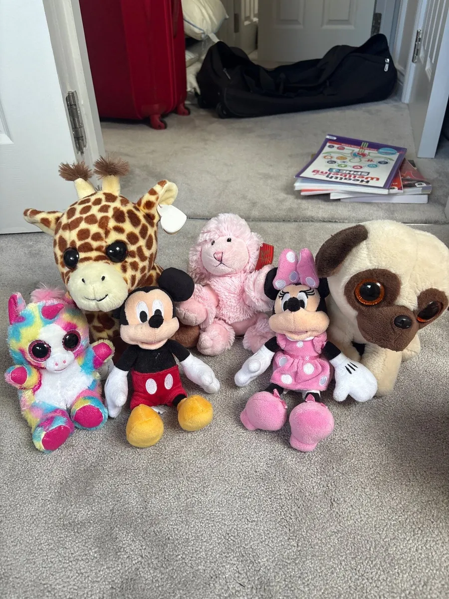 Cuddly toys