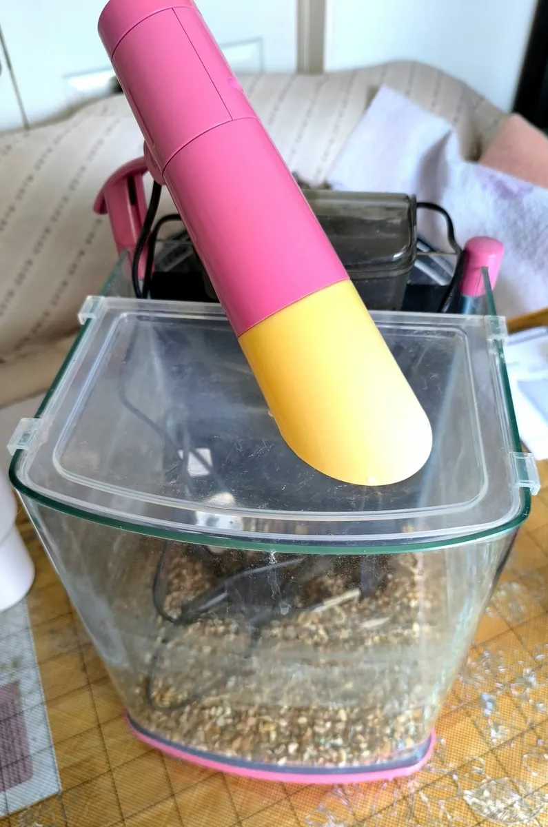 Life Changing Fish Tank!! - Image 2