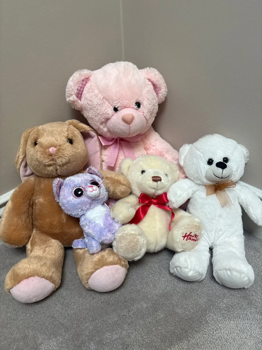 Teddy