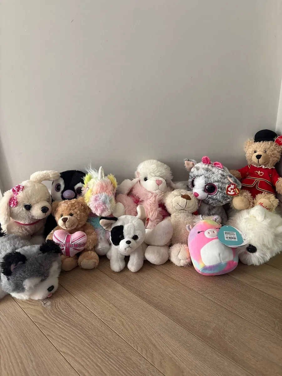 Teddy