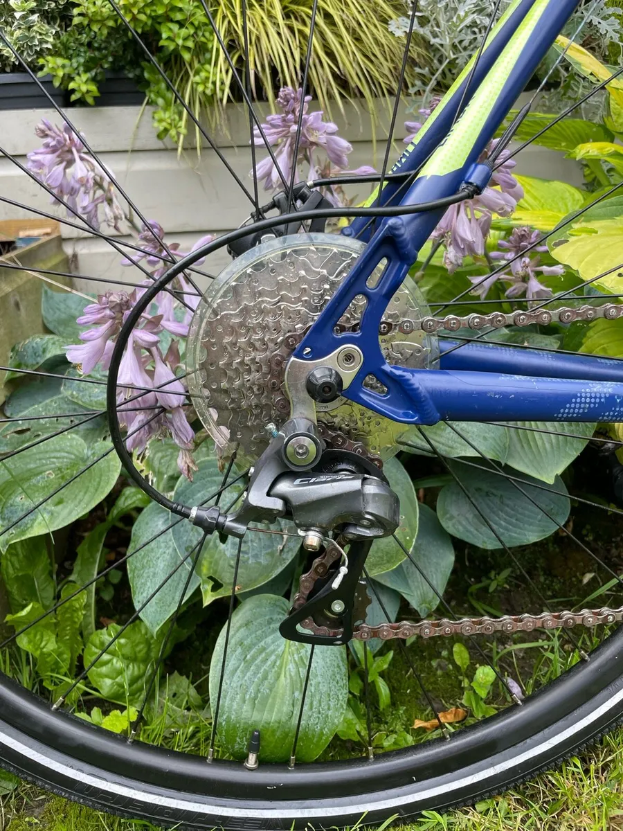 Voodoo Bike - Image 4