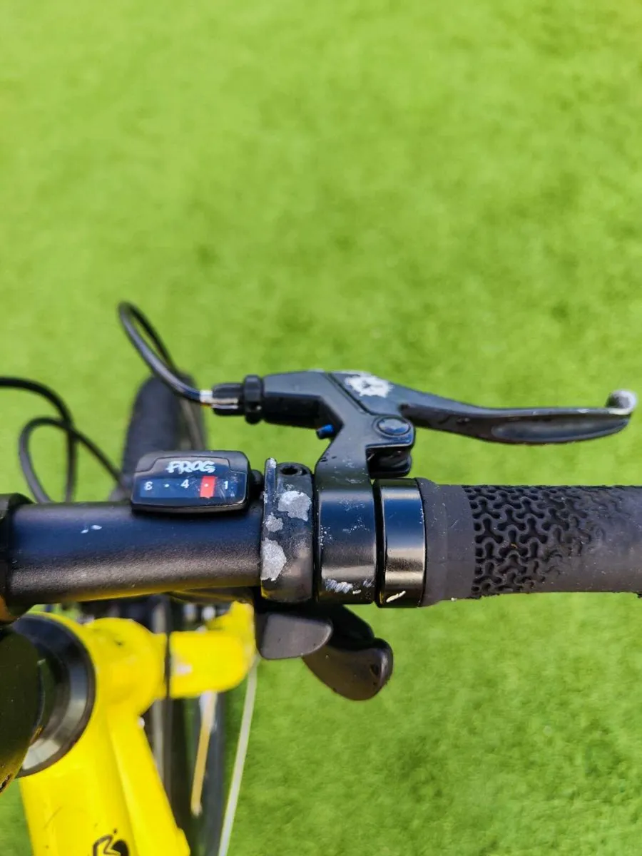 Frog 16" bike - Image 3