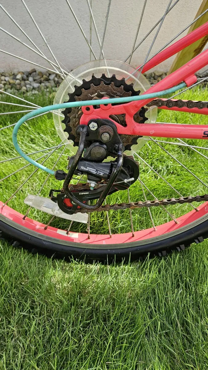 Bicycle - Image 2