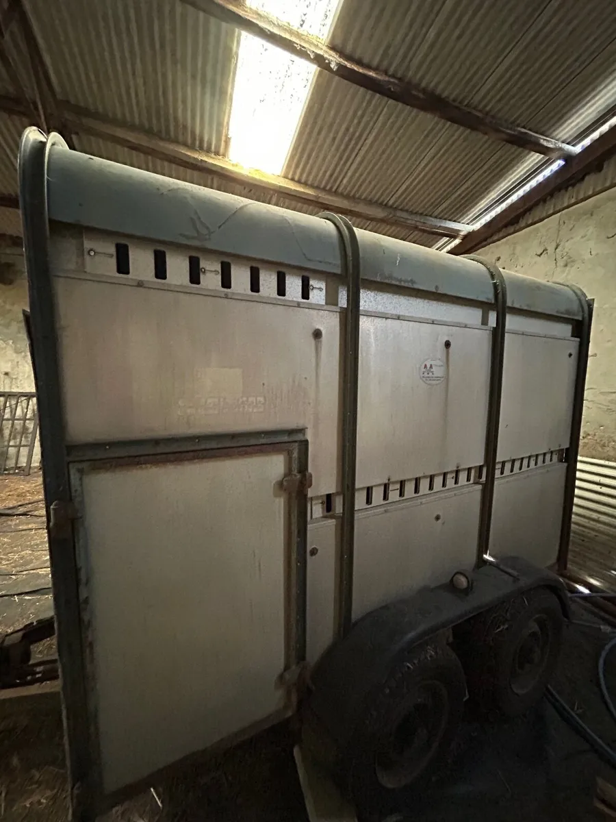 Ifor Williams Trailer - Image 1