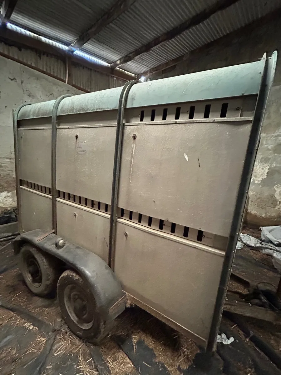 Ifor Williams Trailer - Image 2