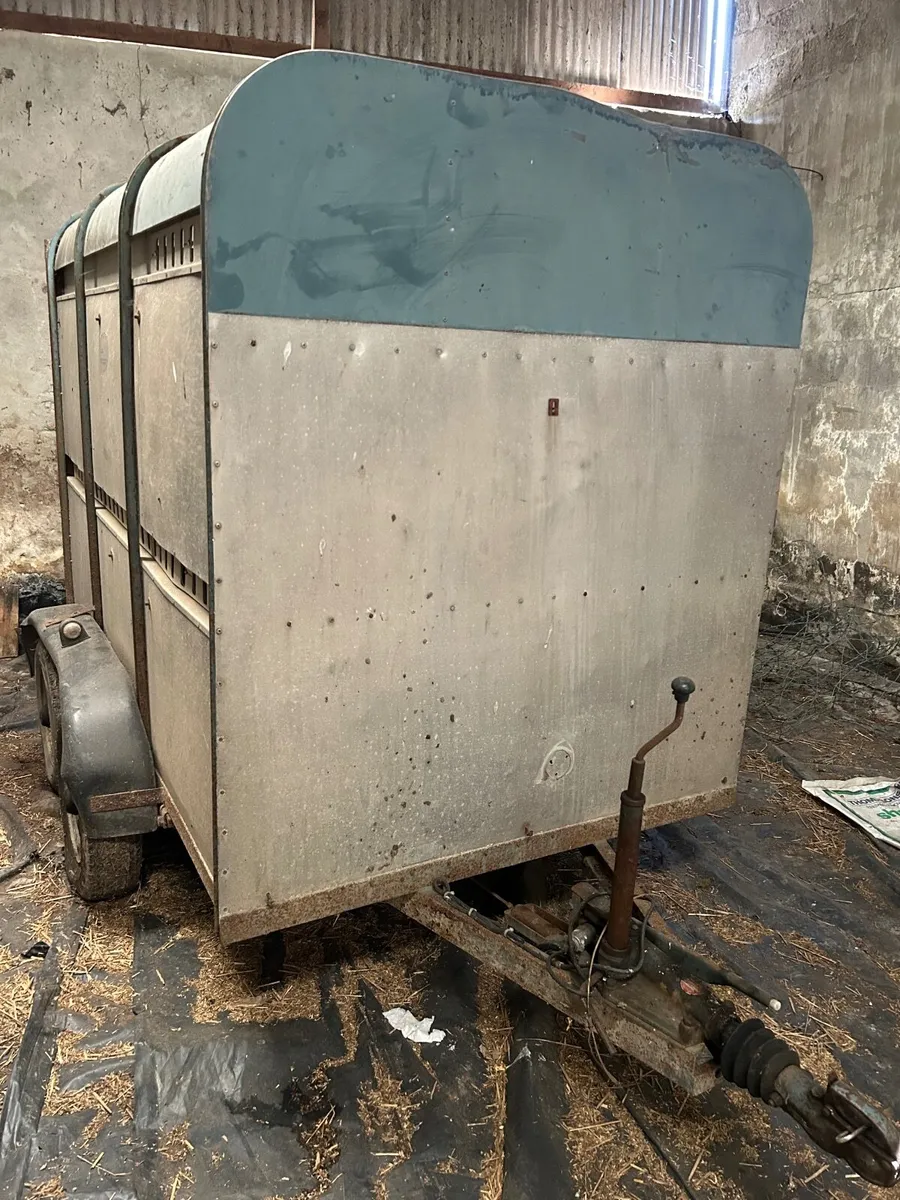 Ifor Williams Trailer - Image 4