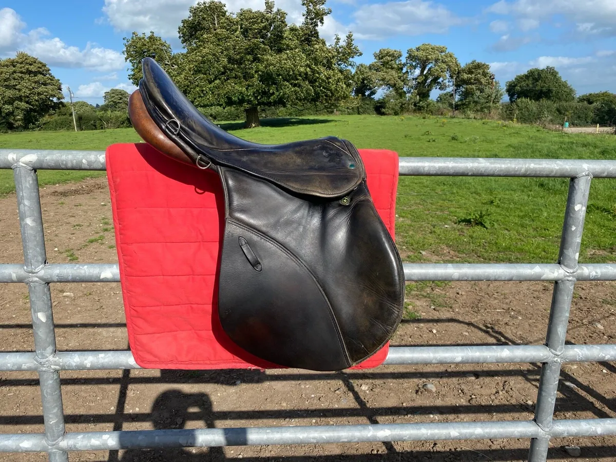 Stubben GP Saddle - Image 1