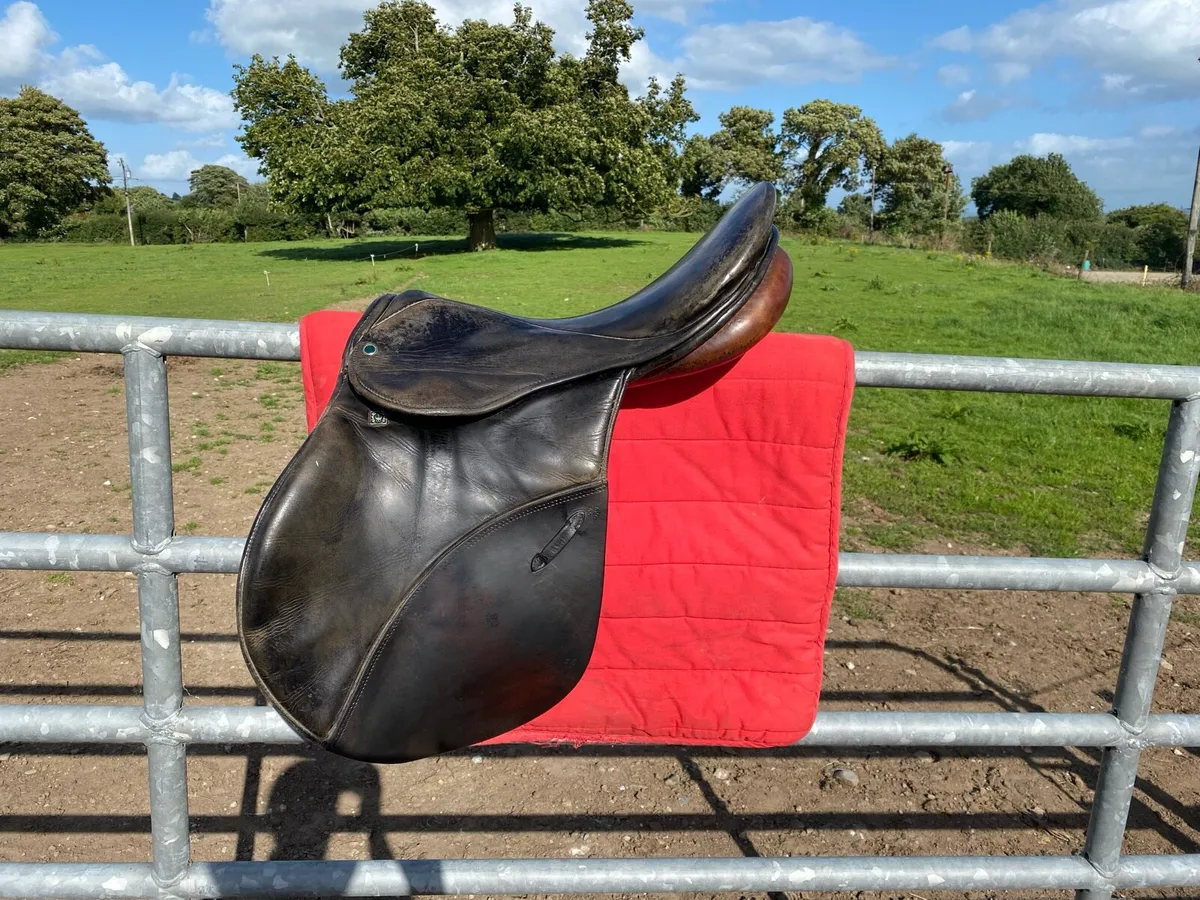 Stubben GP Saddle - Image 2