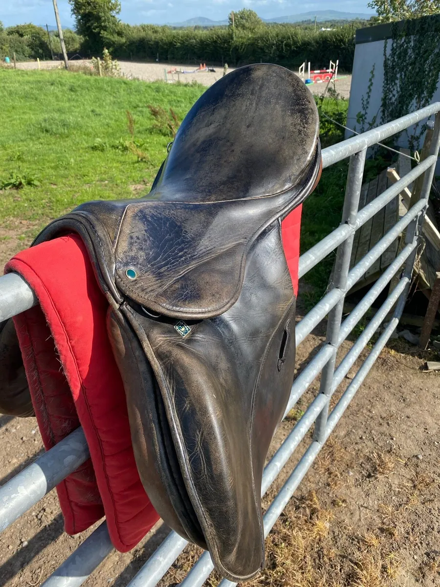 Stubben GP Saddle - Image 3