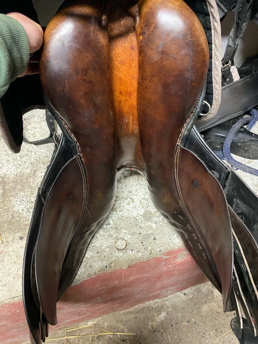 Stubben GP Saddle - Image 4