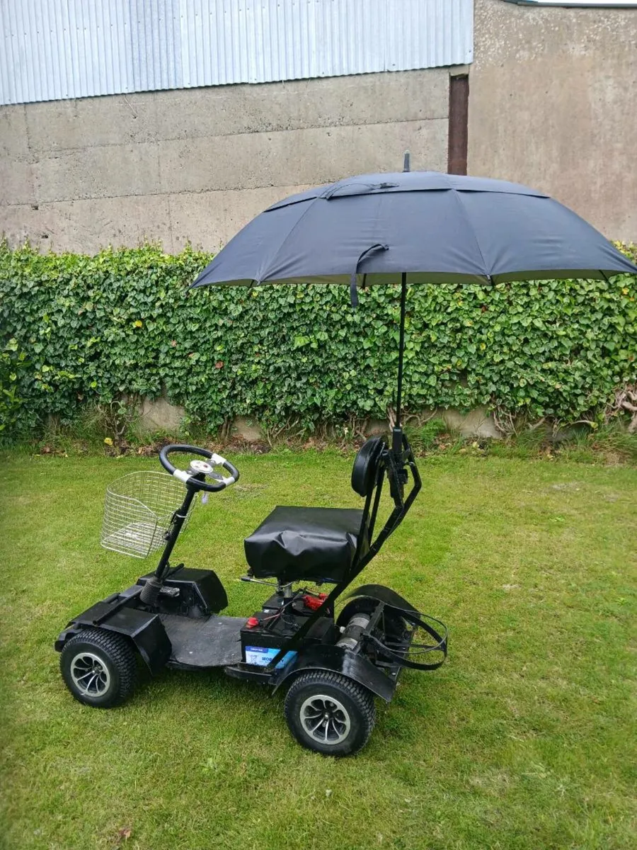 Golf buggy - Image 1