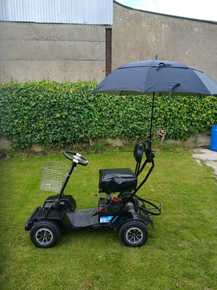 Golf buggy - Image 2