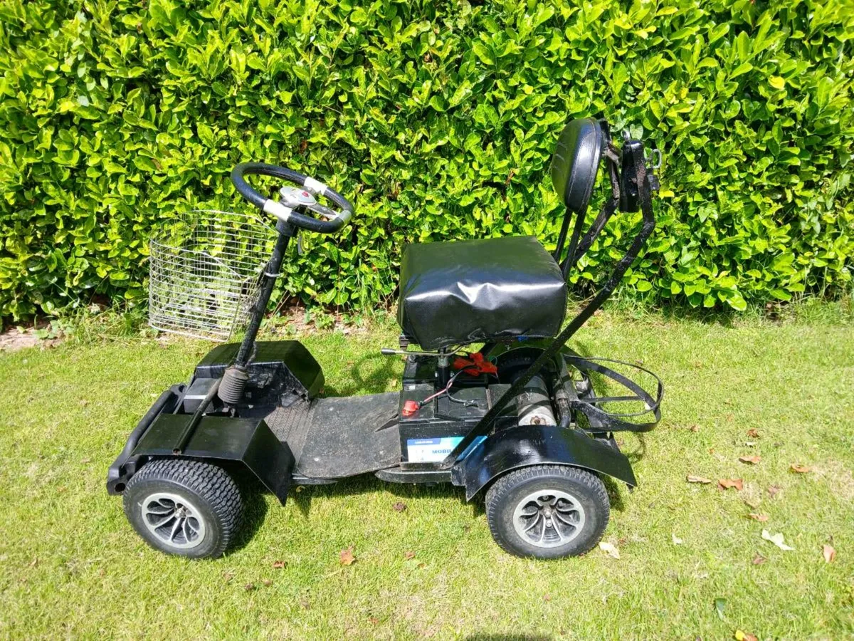 Golf buggy - Image 4