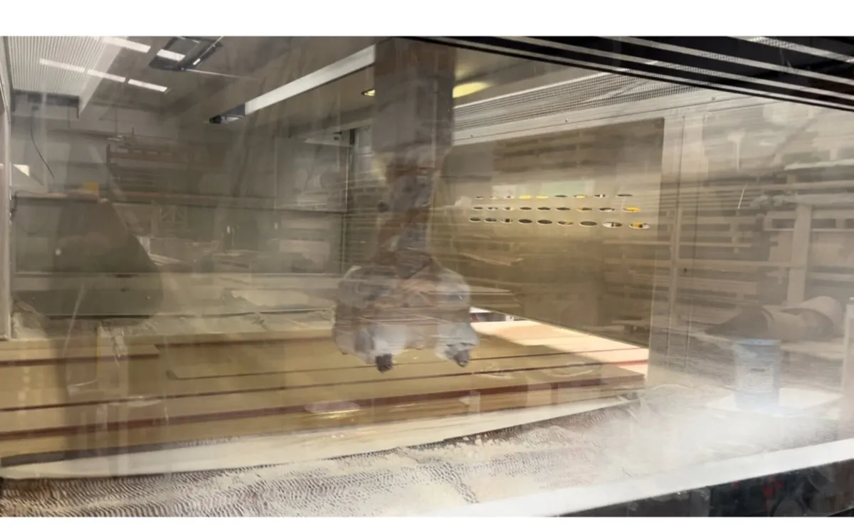 Automatic spraying line - Image 2