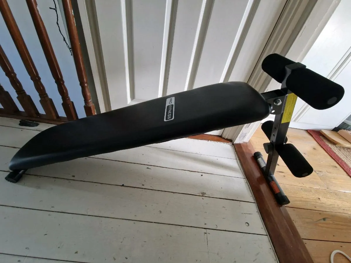 Pro Fitness Sit Up Bench - Image 1